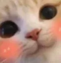 uwu uwu