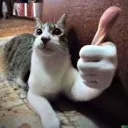 thumbscat