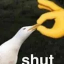 CM_shutduck CM_shutduck