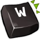 W_