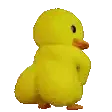 DuckShaker DuckShaker
