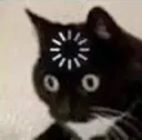 catWhat