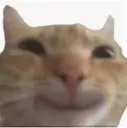 happyboi