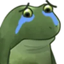 FD_worrysadcry Discord Emoji