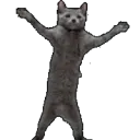 fastcatdance