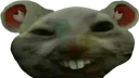 xddRat
