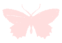 Butterfly_Pink