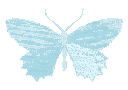 Butterfly_Blue