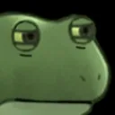 froge_sus froge_sus