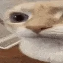 uuh1