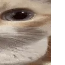 uuh2 uuh2
