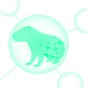 ls_capybara