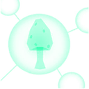 ls_fungi