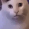 ayyybuHUHH ayyybuHUHH