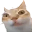 ayyybuErm