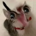 WAAAAAA
