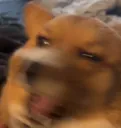 MochaBlur