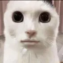 str