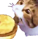 burgercat