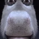 shrek_stare