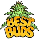 yellow_bestbuds