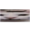 streeeetch