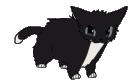 catdance_ Discord Emoji