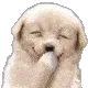 01_giggle