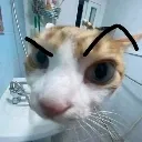 canyourepeatwhatujussaid