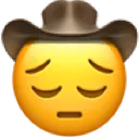 pensivecowboy