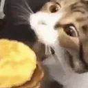 NOM