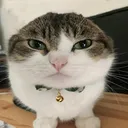 wawaa2