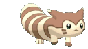 Furret Furret