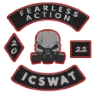 ICSWAT