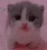 Scared