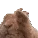 9RabbitDance