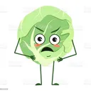 cabbage