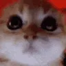 grrr