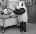 mg_POthrowingtantrum