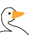 duckhonk duckhonk