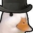 duckhowdy duckhowdy