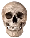 realskull