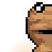 grumblo_preg1 grumblo_preg1