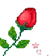 cuteflowerredrose