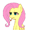 FlutterHigh