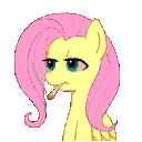 Flutterhigh