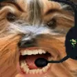 ayyybuPlay ayyybuPlay