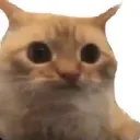 AbsolutLimit