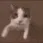 02catkiss