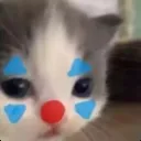 Gato_Payaso